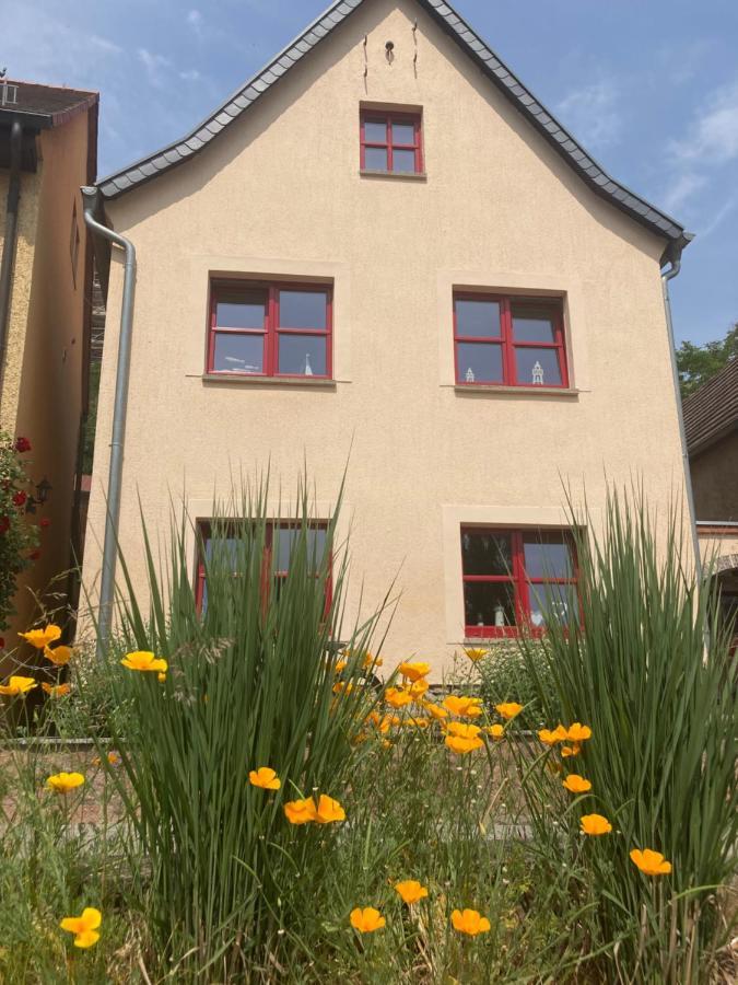 Radler Pension Wettin Exterior foto